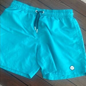 Danny Duncan turquoise swim trunks